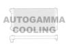 AUTOGAMMA 103358 Radiator, engine cooling